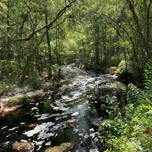 Meet your Posher, Lyndsey